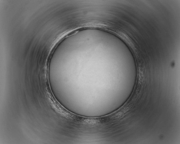 X0000116111044200912071318