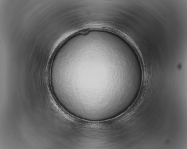 X0000116111045200912071318