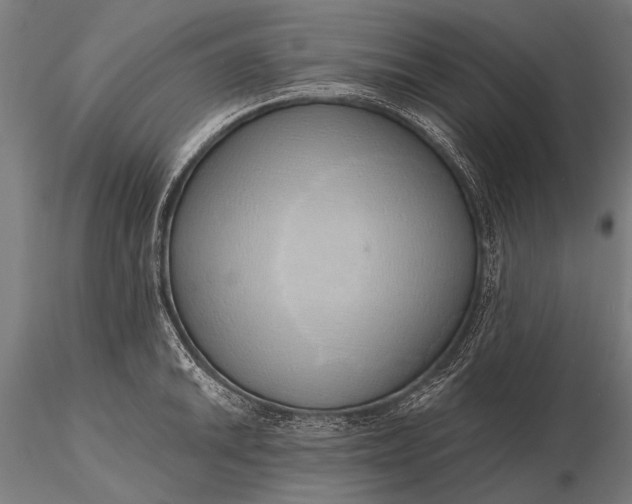 X0000116111046200912071318