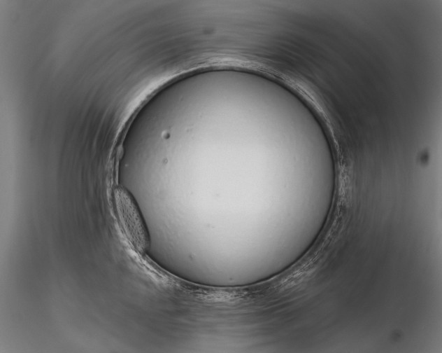 X0000116111048200912071318