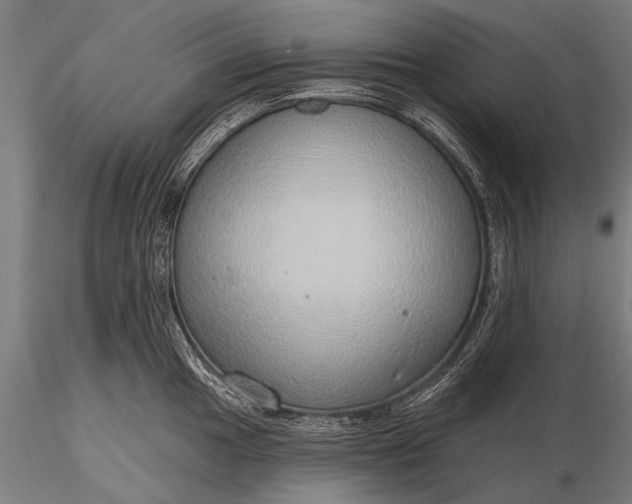 X0000116111049200912071318