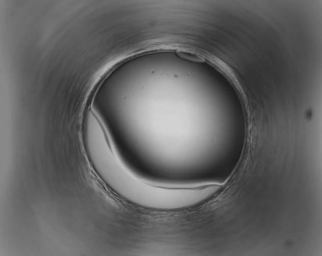 X0000116111051200912071318