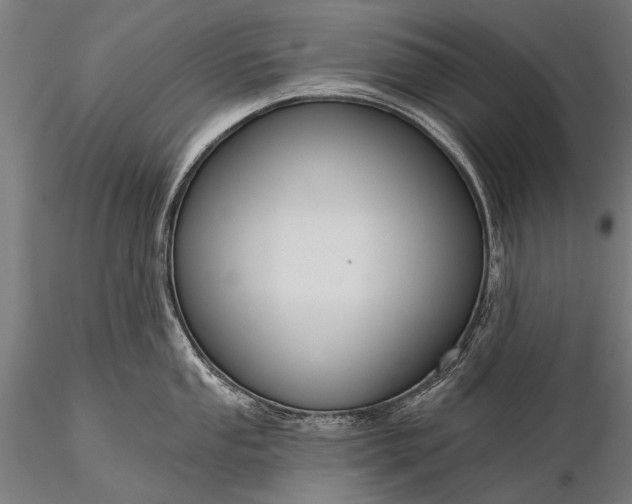 X0000116111053200912071318