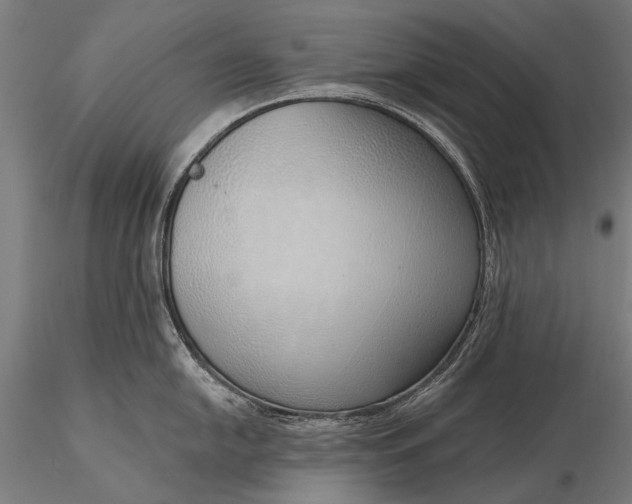 X0000116111054200912071318