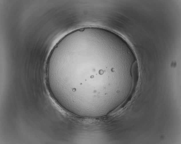 X0000116111056200912071318