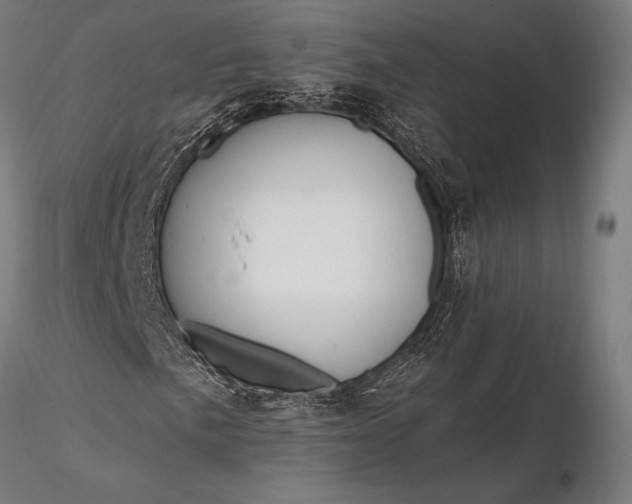 X0000116111057200912071317