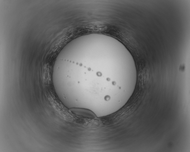 X0000116111058200912071317