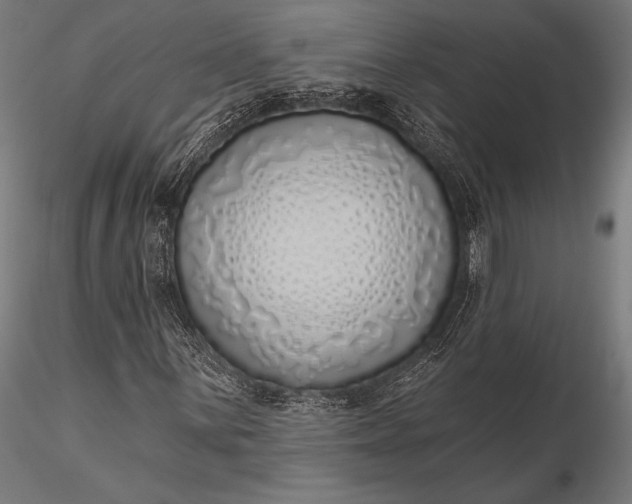 X0000116111059200912071317