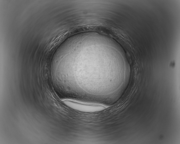 X0000116111060200912071317