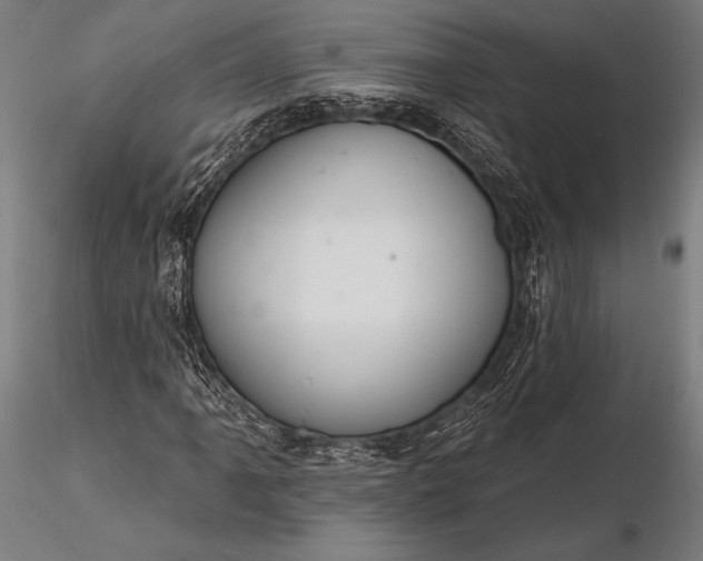 X0000116111061200912071317