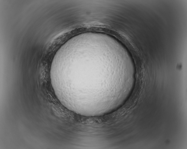 X0000116111063200912071317