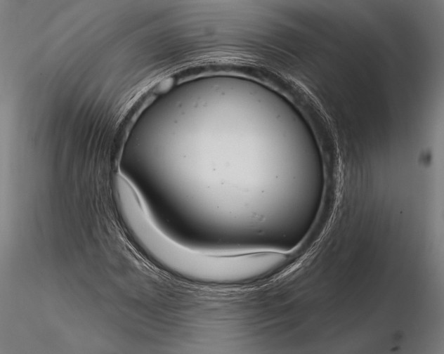 X0000116111065200912071317