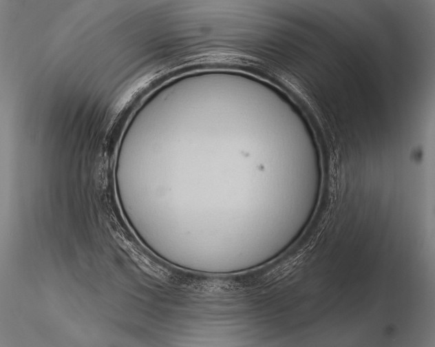 X0000116111067200912071317