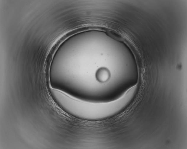 X0000116111068200912071317