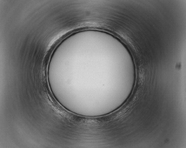 X0000116111070200912071317