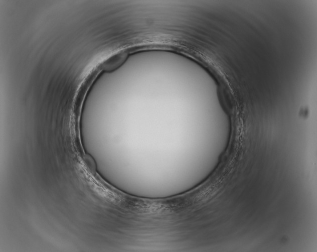 X0000116111072200912071317