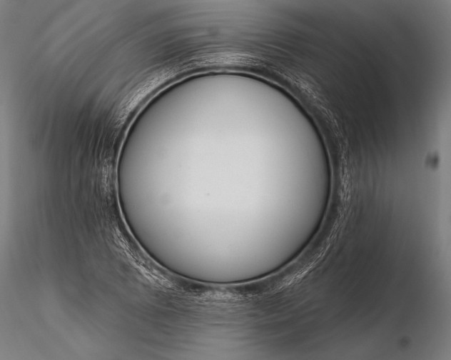 X0000116111073200912071317