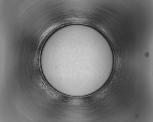 X0000116111074200912071317