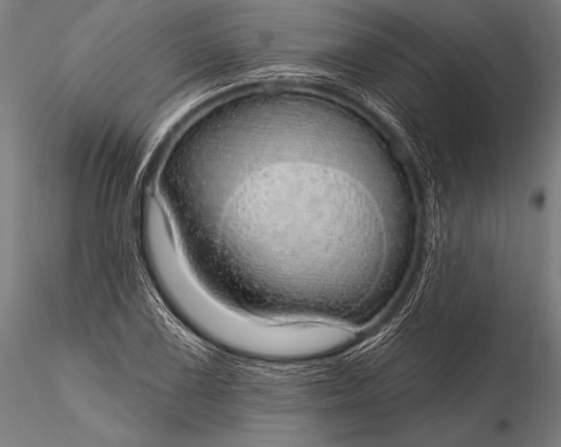 X0000116111075200912071317