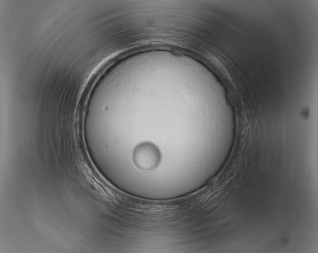 X0000116111076200912071317