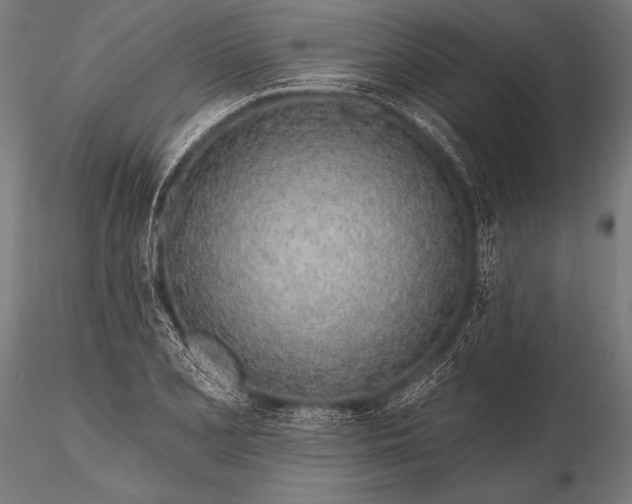 X0000116111077200912071317