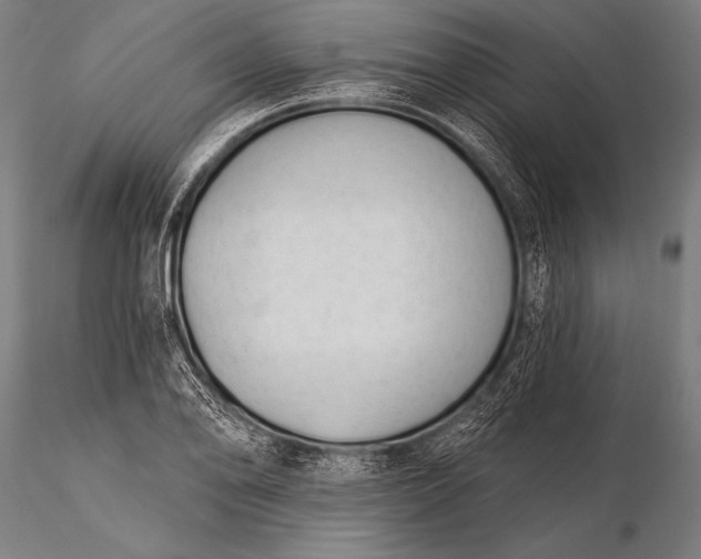 X0000116111078200912071317