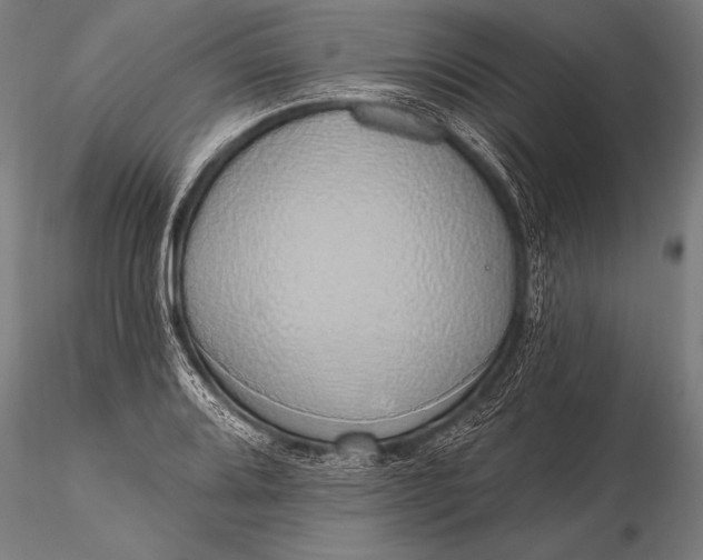 X0000116111080200912071317