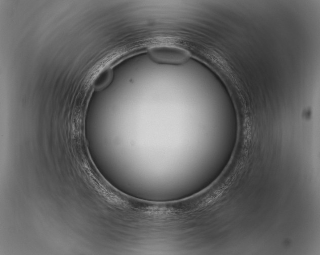 X0000116111081200912071317