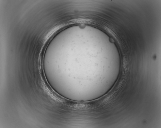 X0000116111082200912071317