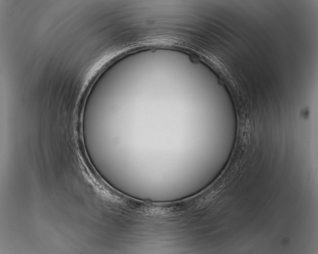 X0000116111086200912071317