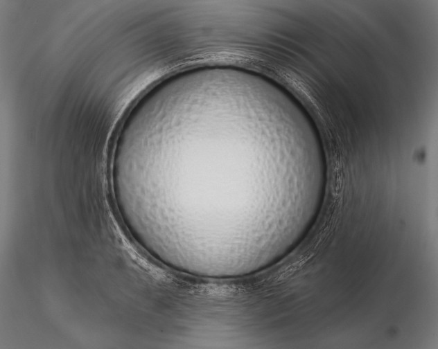 X0000116111087200912071317