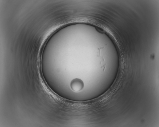 X0000116111088200912071317