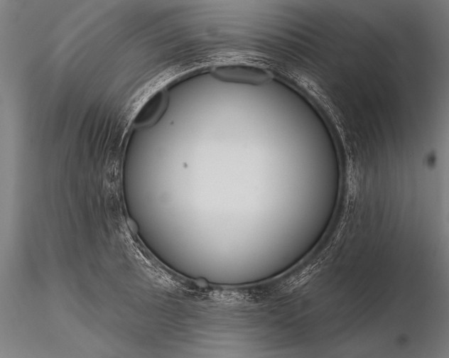 X0000116111089200912071317