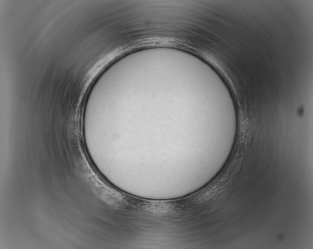 X0000116111090200912071317