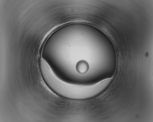 X0000116111092200912071317