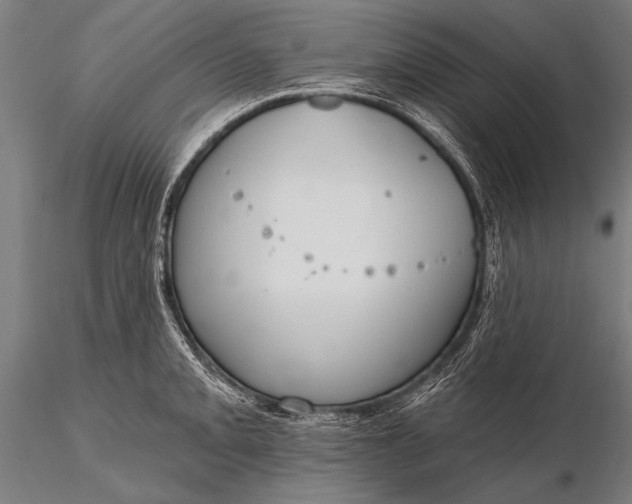 X0000116111093200912071317