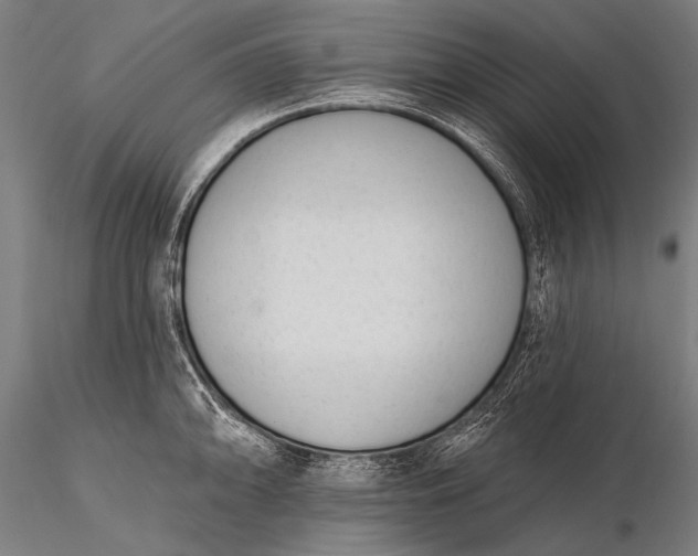 X0000116111094200912071317