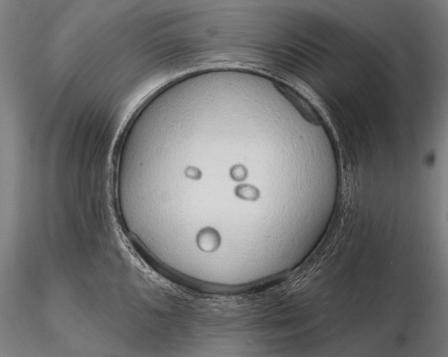 X0000116111096200912071317