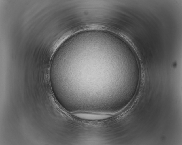 X0000116111097200912071317