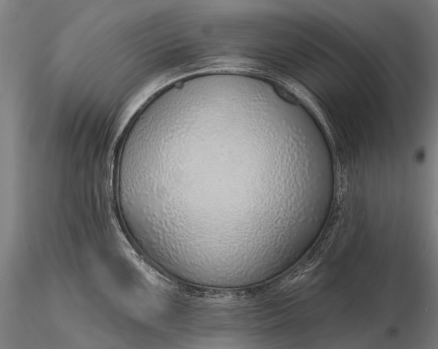 X0000116111099200912071317