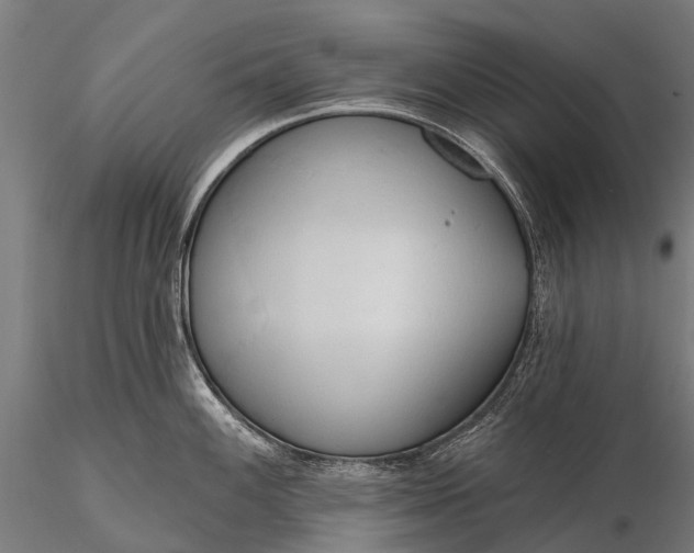 X0000116111100200912071317