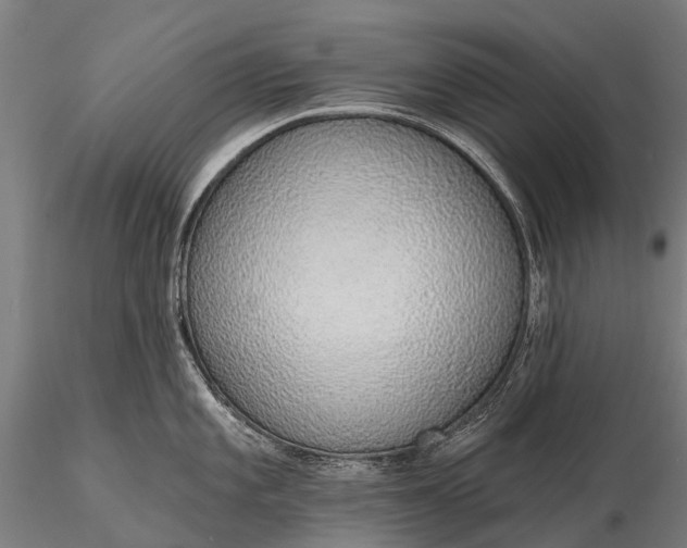 X0000116111101200912071317