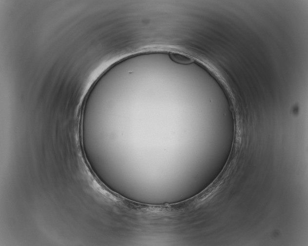 X0000116111102200912071317