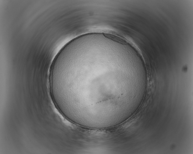 X0000116111103200912071317