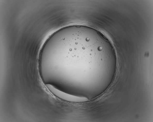 X0000116111104200912071317