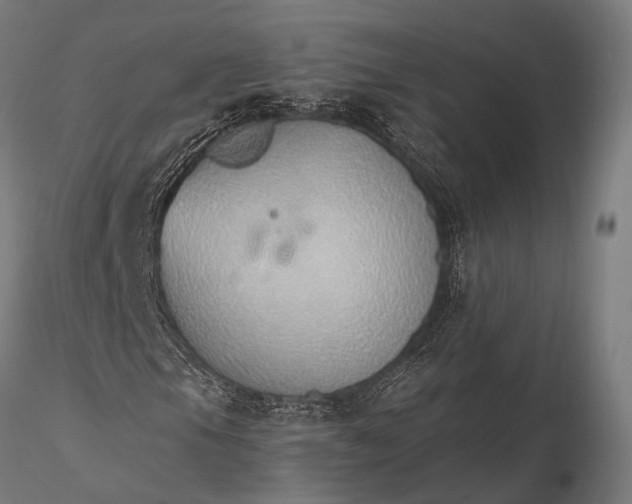 X0000116111105200912071316