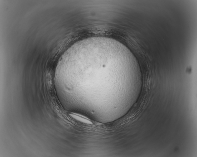 X0000116111106200912071316