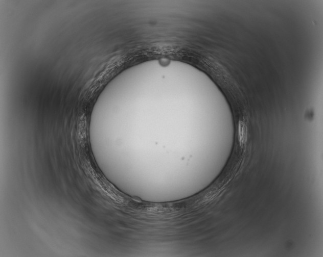 X0000116111107200912071316