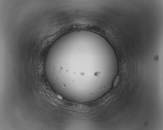 X0000116111109200912071316