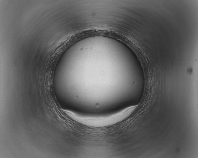 X0000116111110200912071316